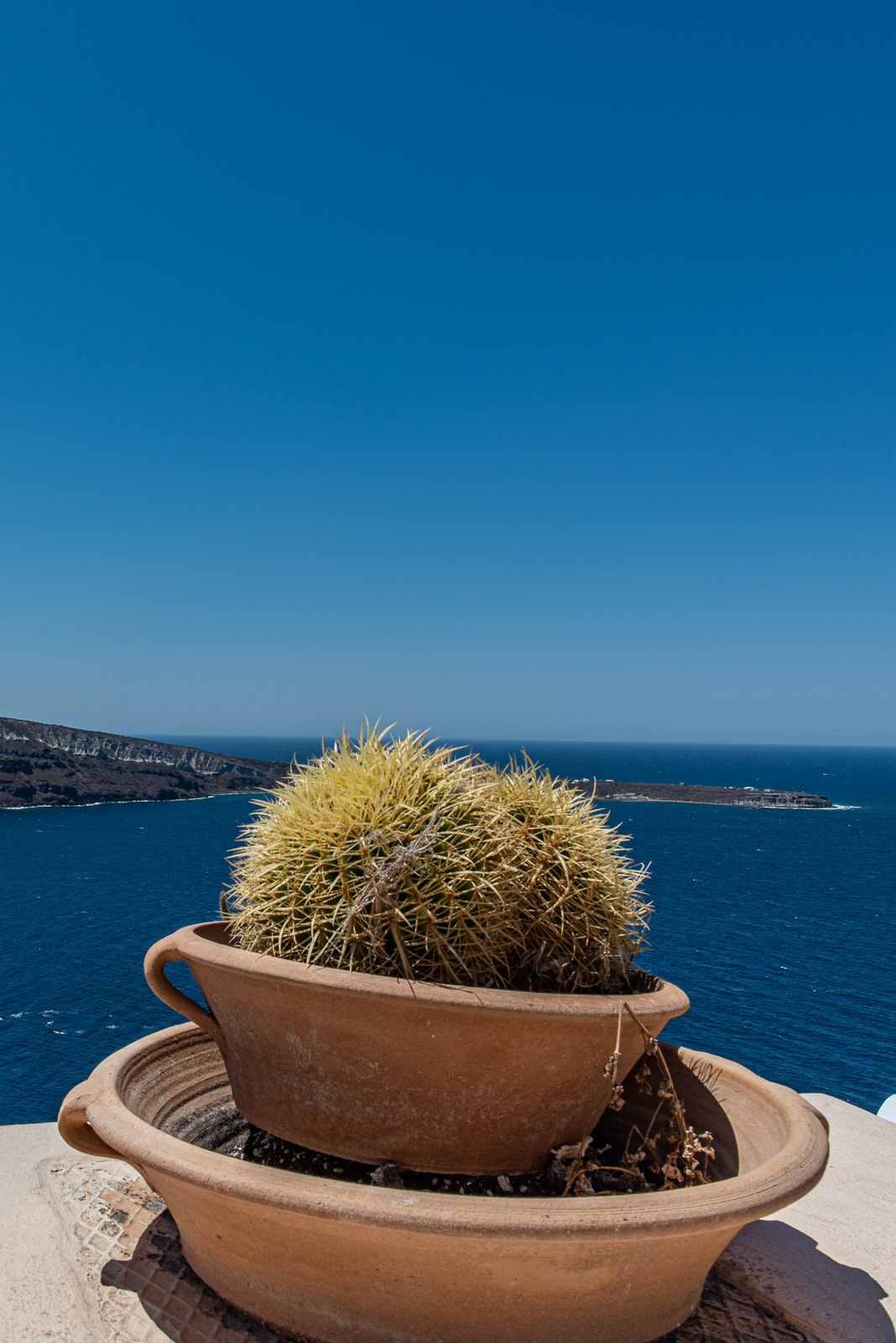 190805 123156 DSC 7962