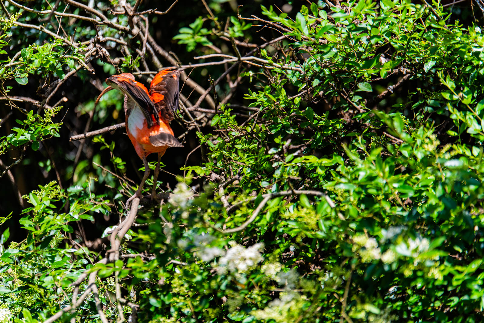 200524 141921 DSC 9035