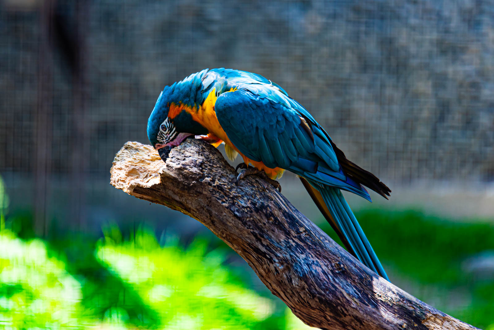 200524 142332 DSC 9042