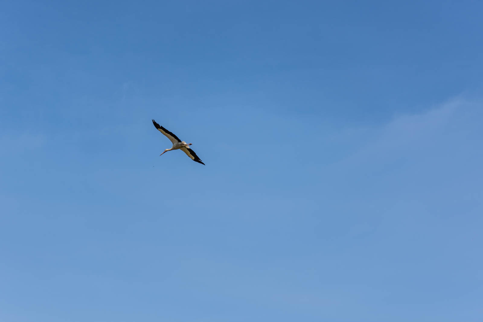 200524 143133 DSC 9052