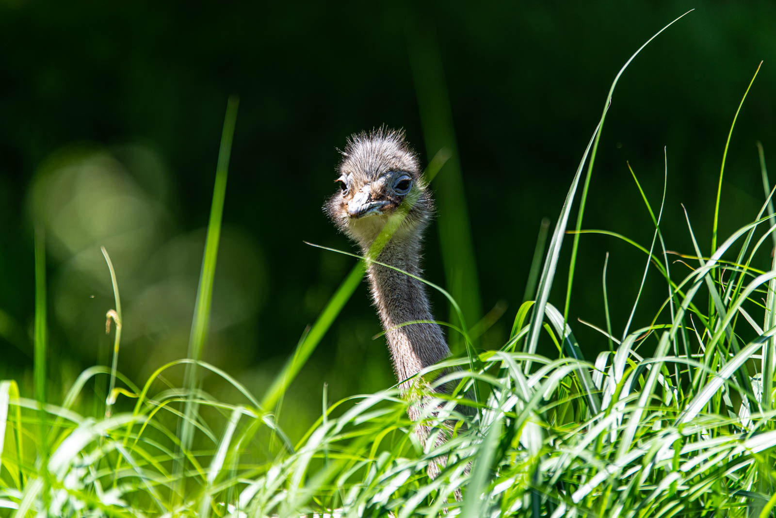 200524 143219 DSC 9061