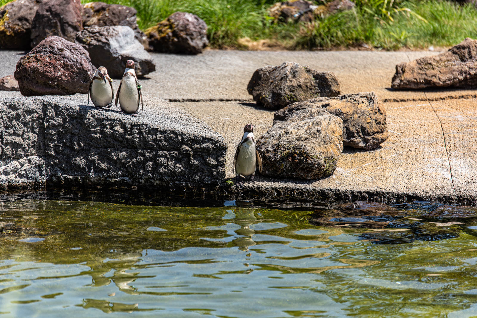 200524 143330 DSC 9063