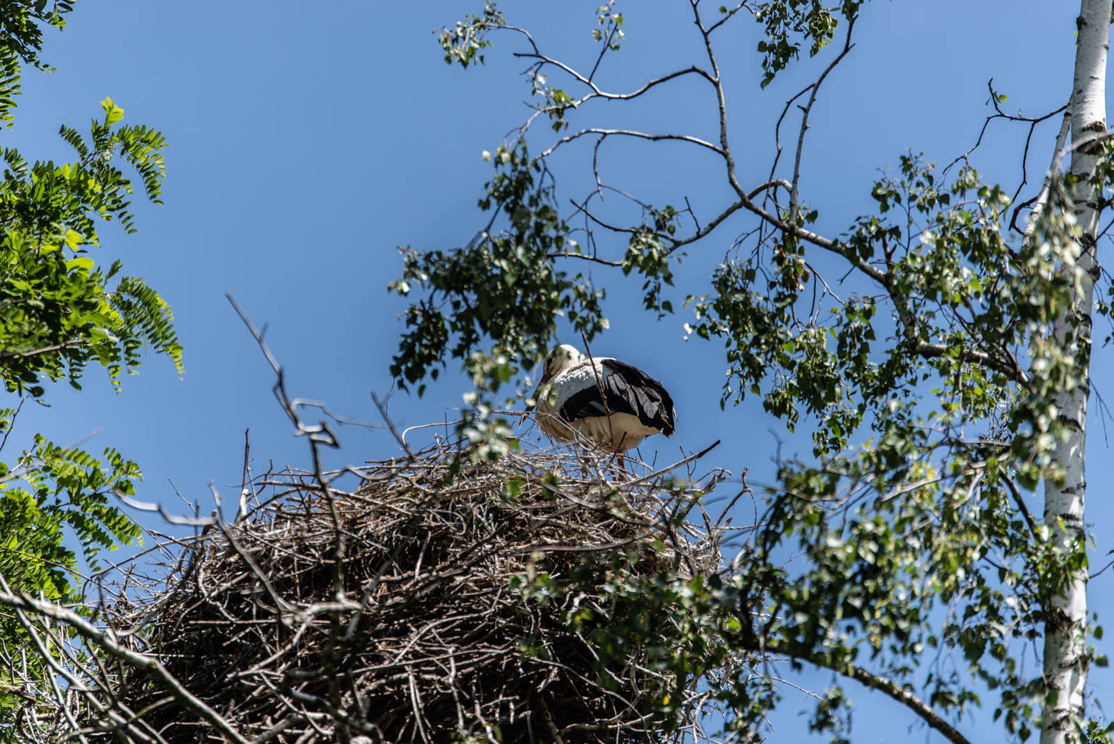 200524 144032 DSC 9071