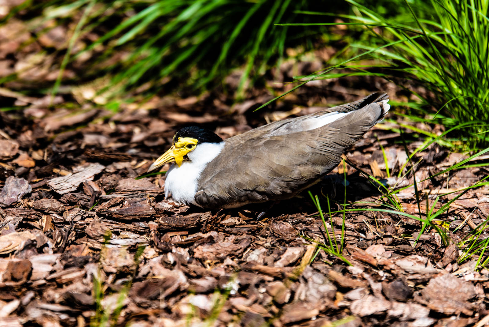 200524 144309 DSC 9074