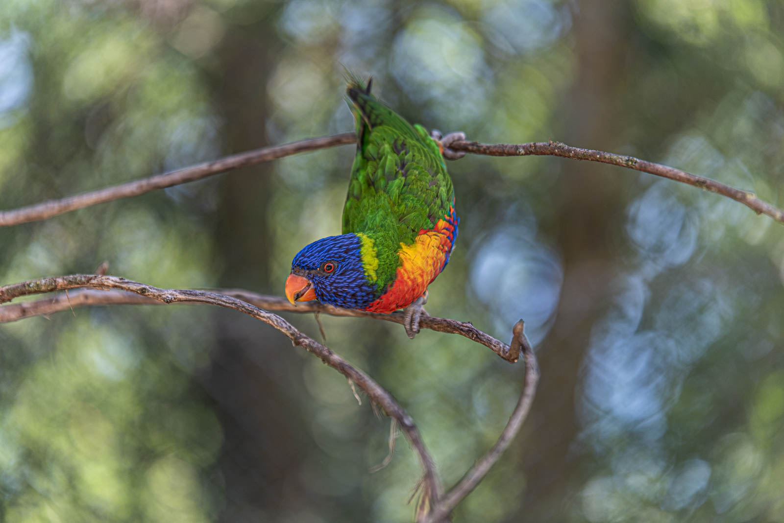 200524 144333 DSC 9078