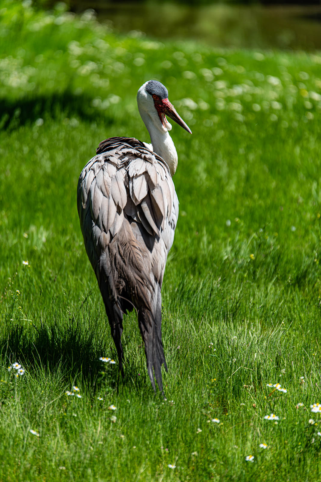 200524 150412 DSC 9113