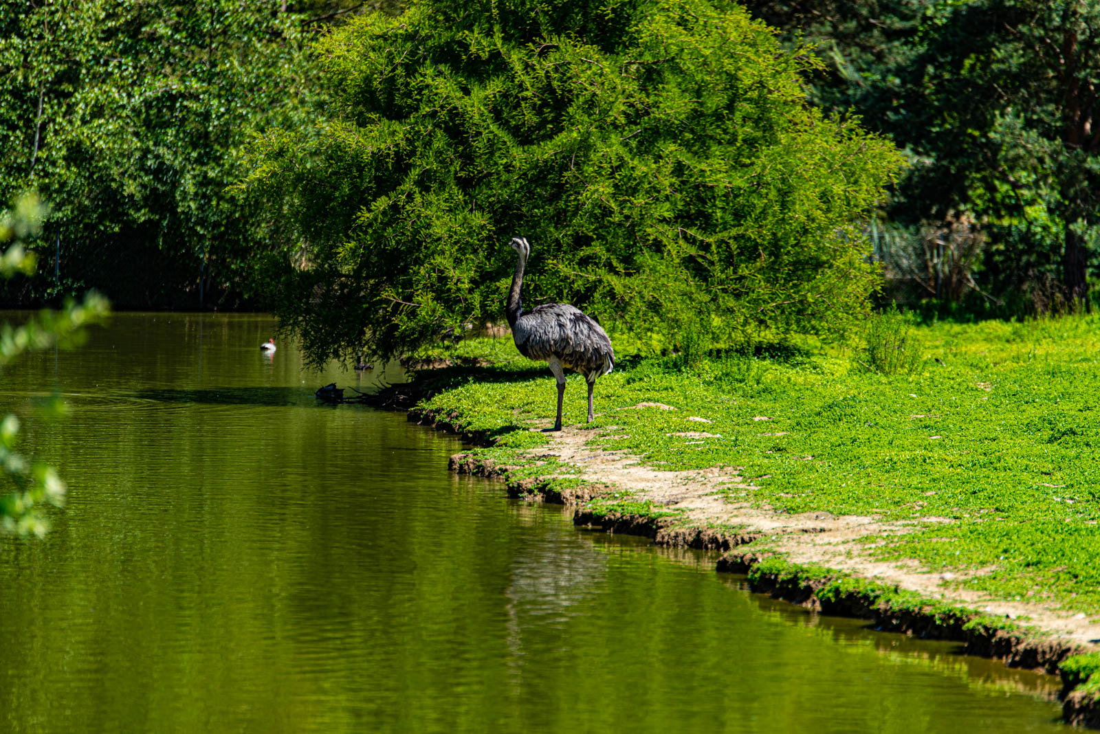 200524 150528 DSC 9118