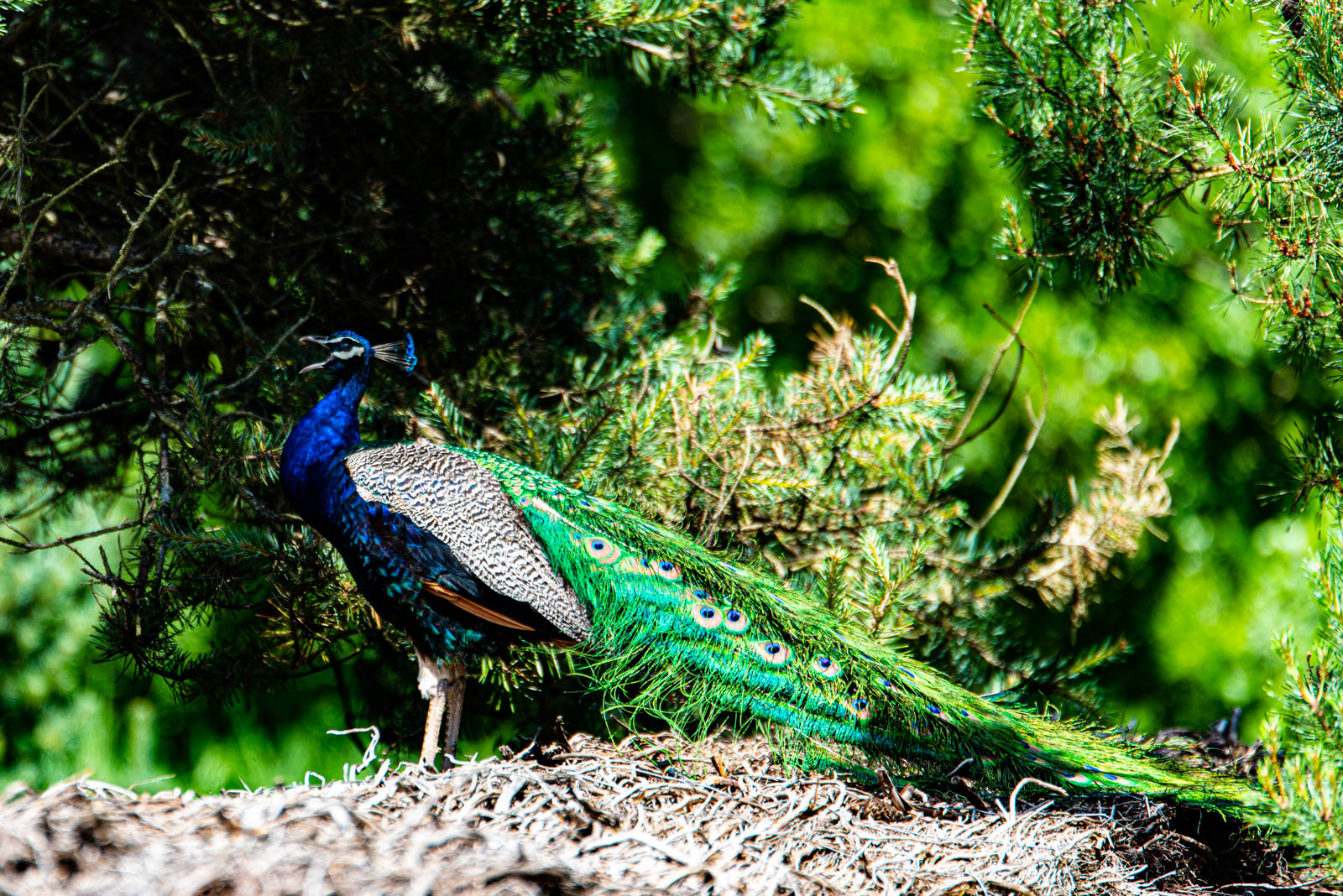 200524 150722 DSC 9125