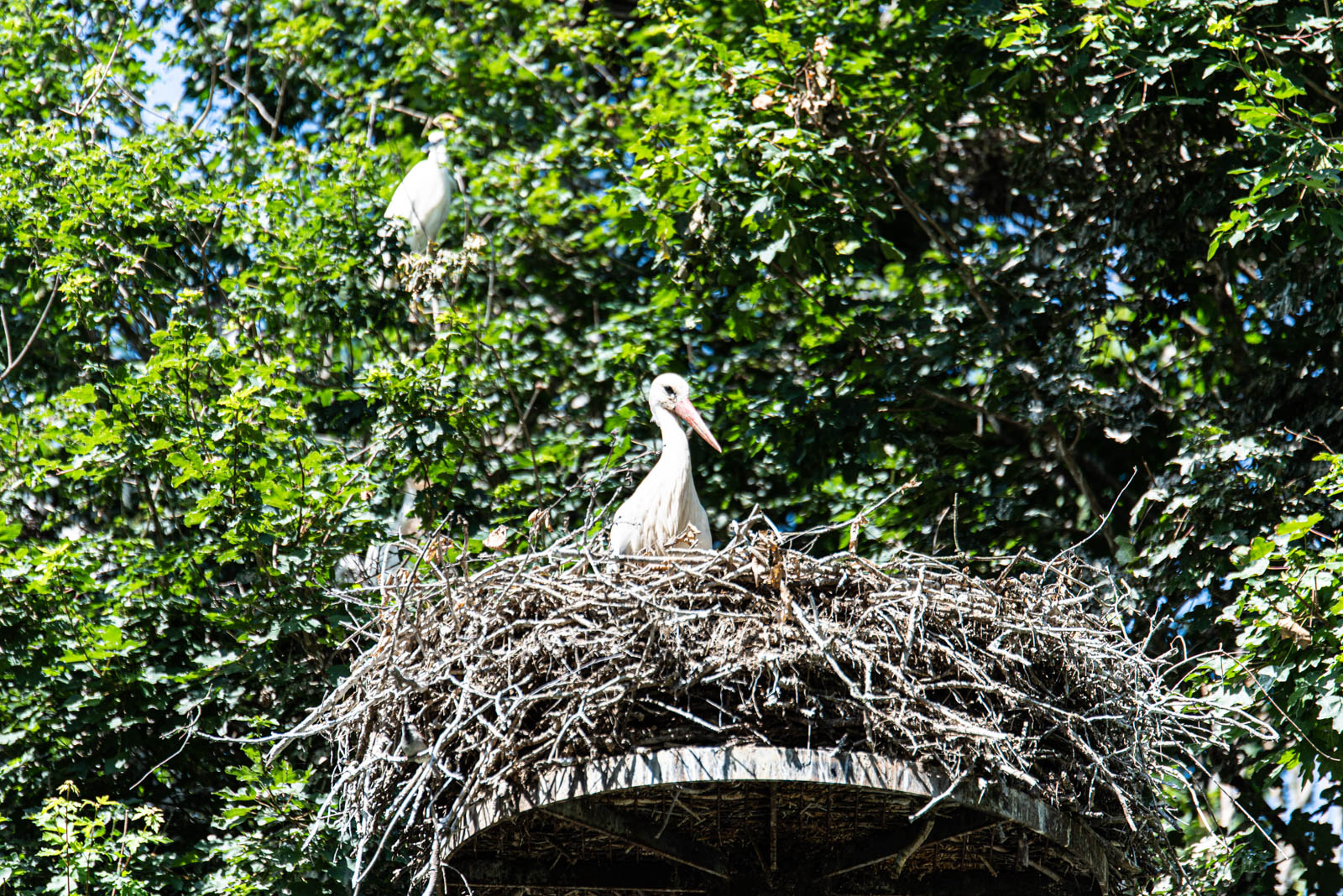 200524 160143 DSC 9206