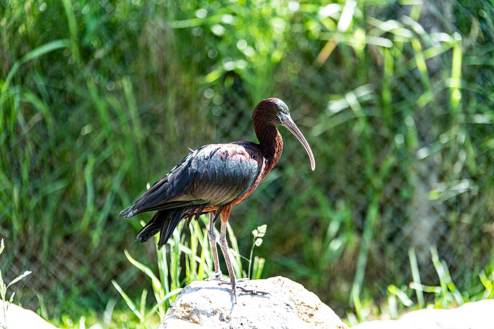 200524 162705 DSC 9280