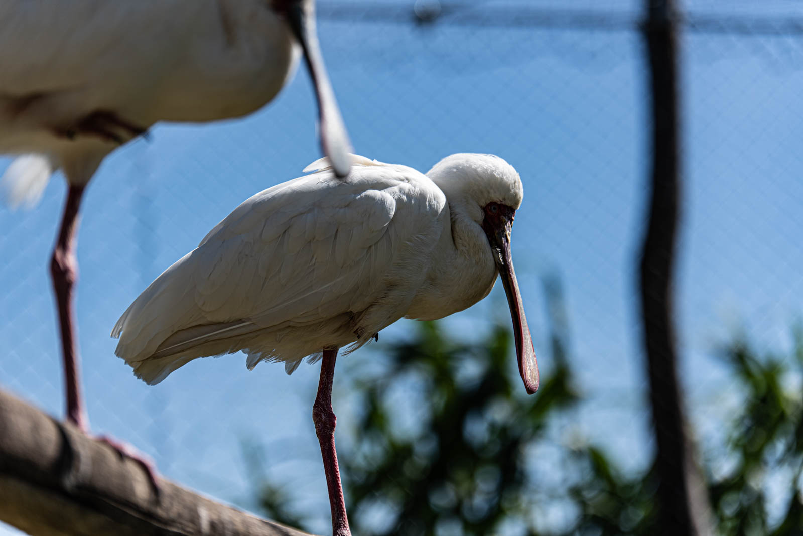 200524 162718 DSC 9281