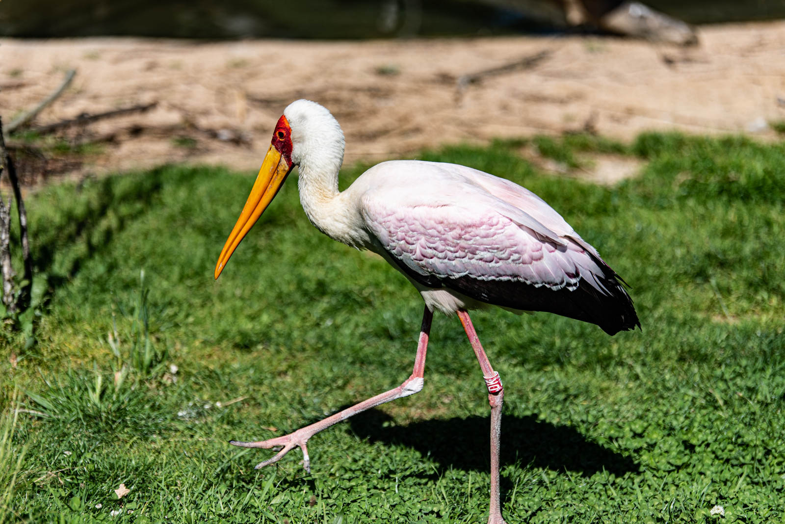 200524 162931 DSC 9287