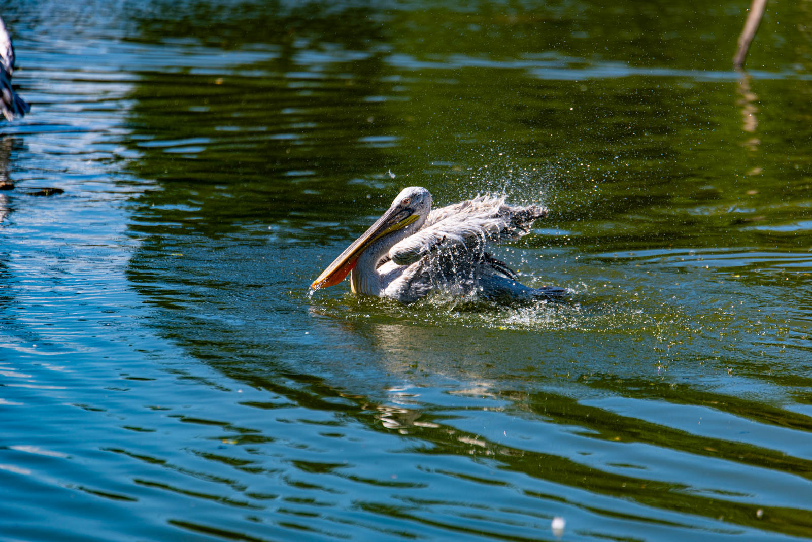 200524 164340 DSC 9309