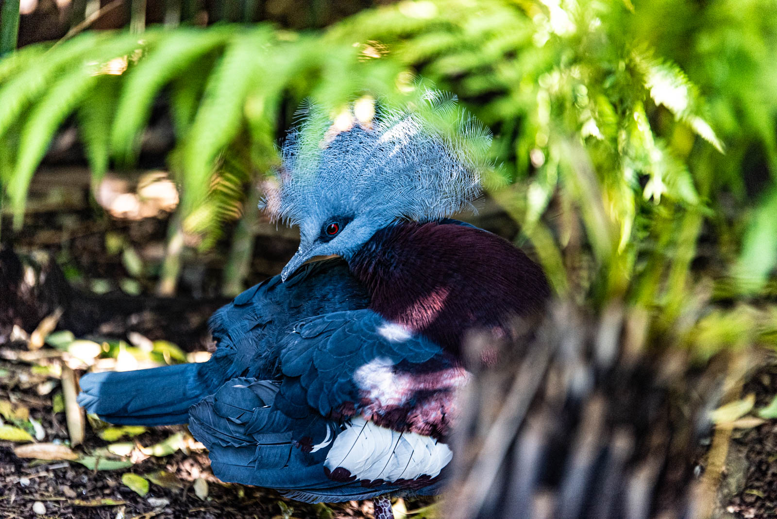 200524 164831 DSC 9318