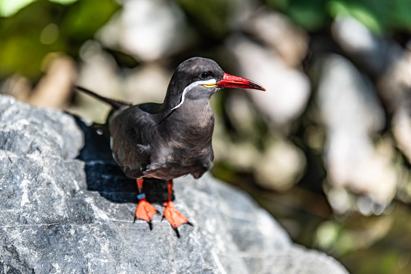 200524 165145 DSC 9334