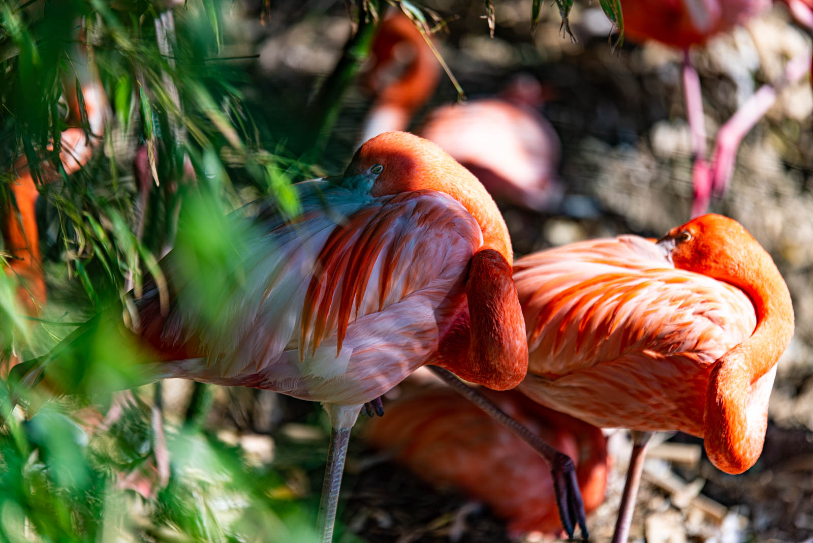 200524 165858 DSC 9352