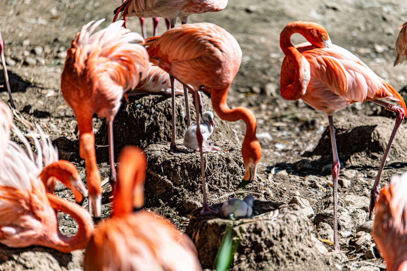 200524 165909 DSC 9354