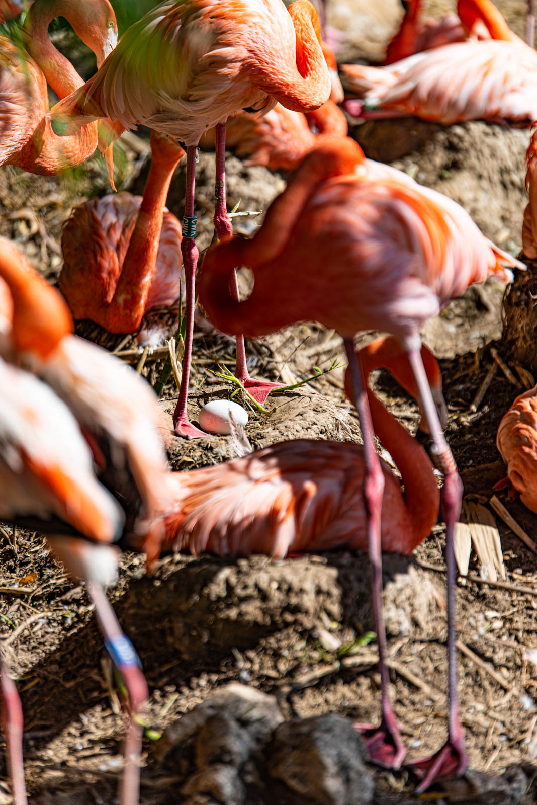 200524 165916 DSC 9355