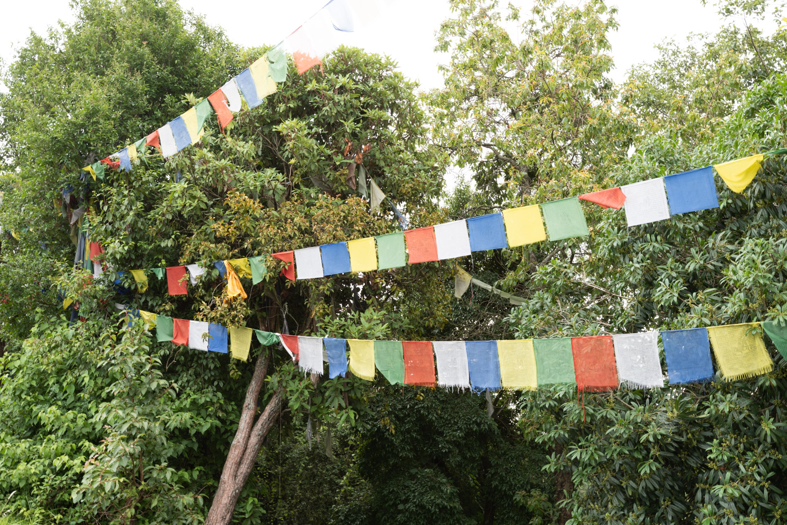 190620 023620 DSC 6458