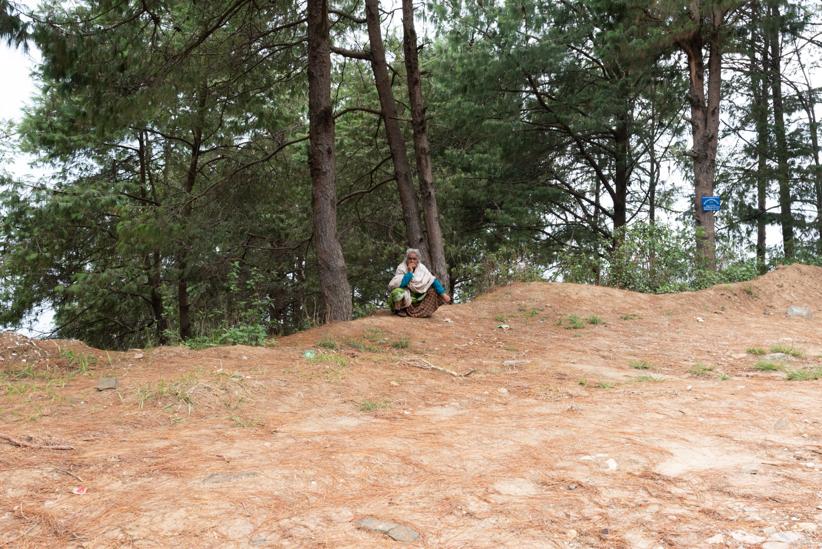 190620 024505 DSC 6459