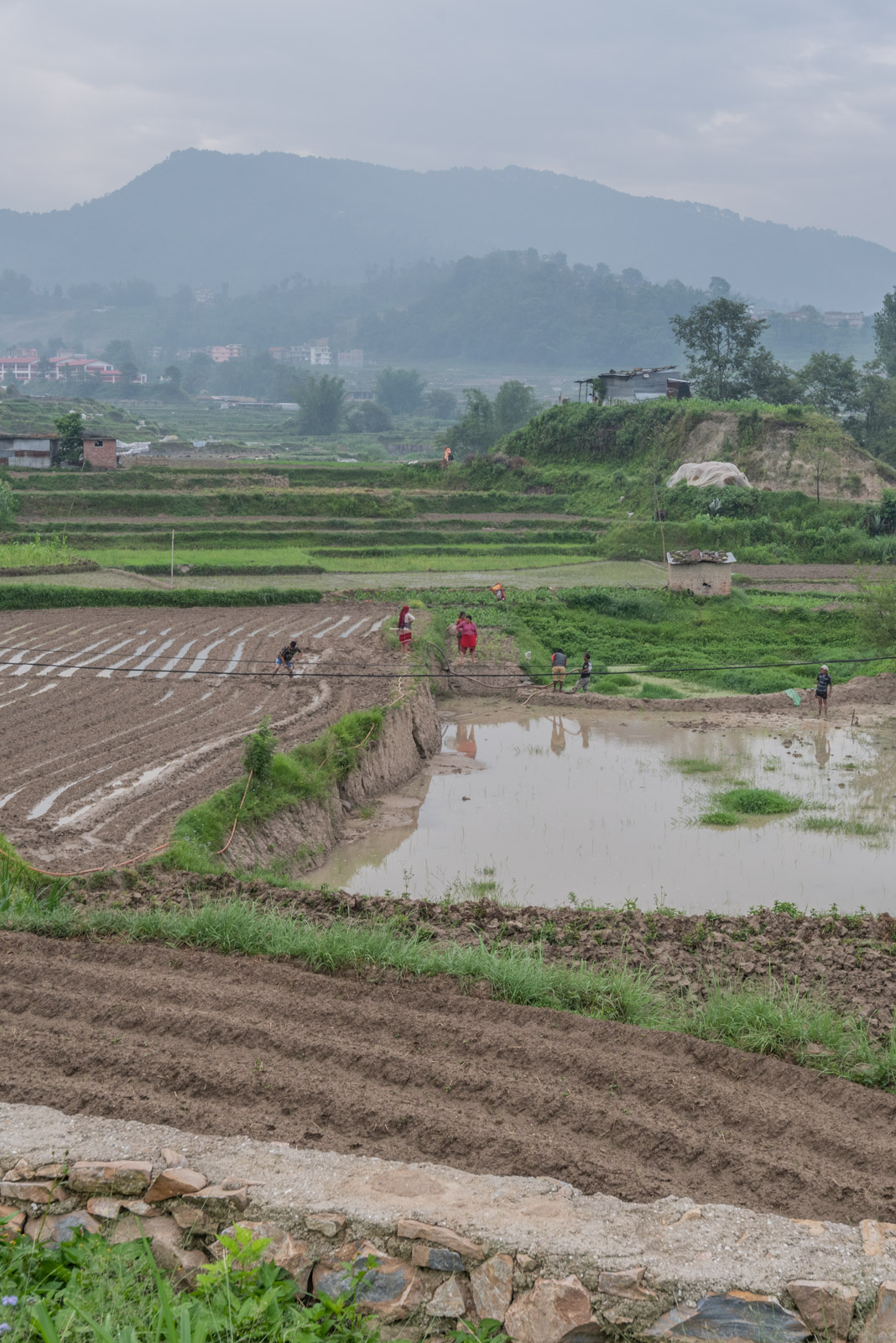 190620 030749 DSC 6486