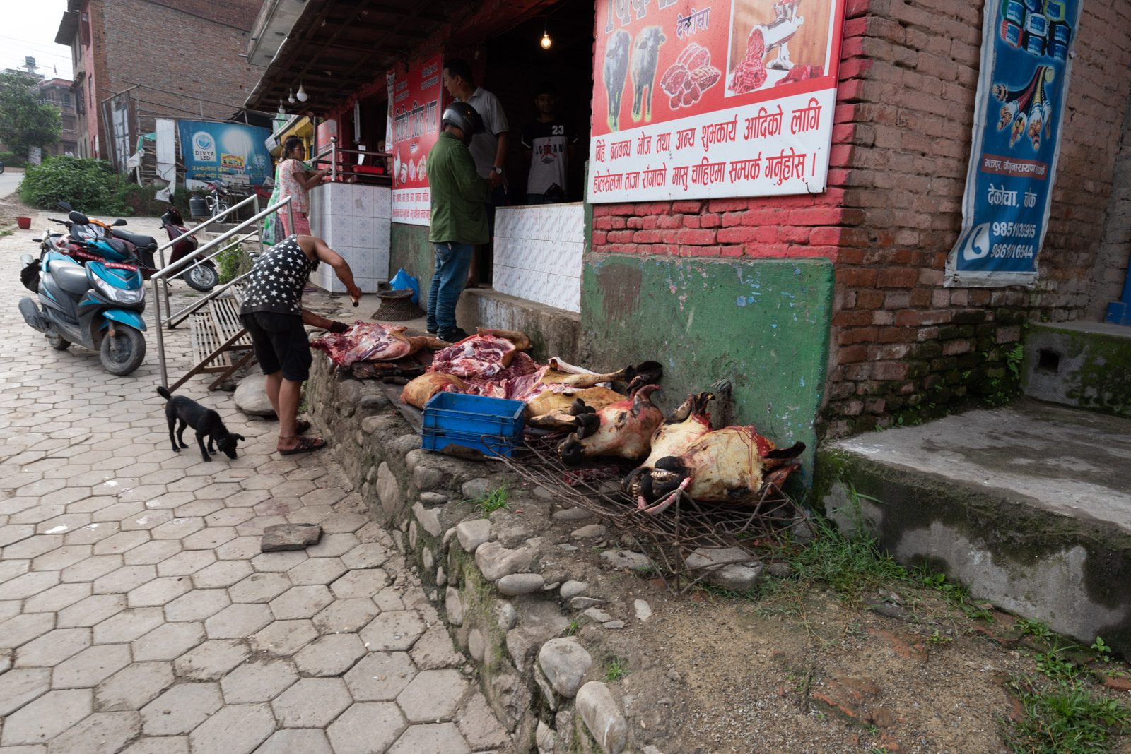 190620 032426 DSC 6504