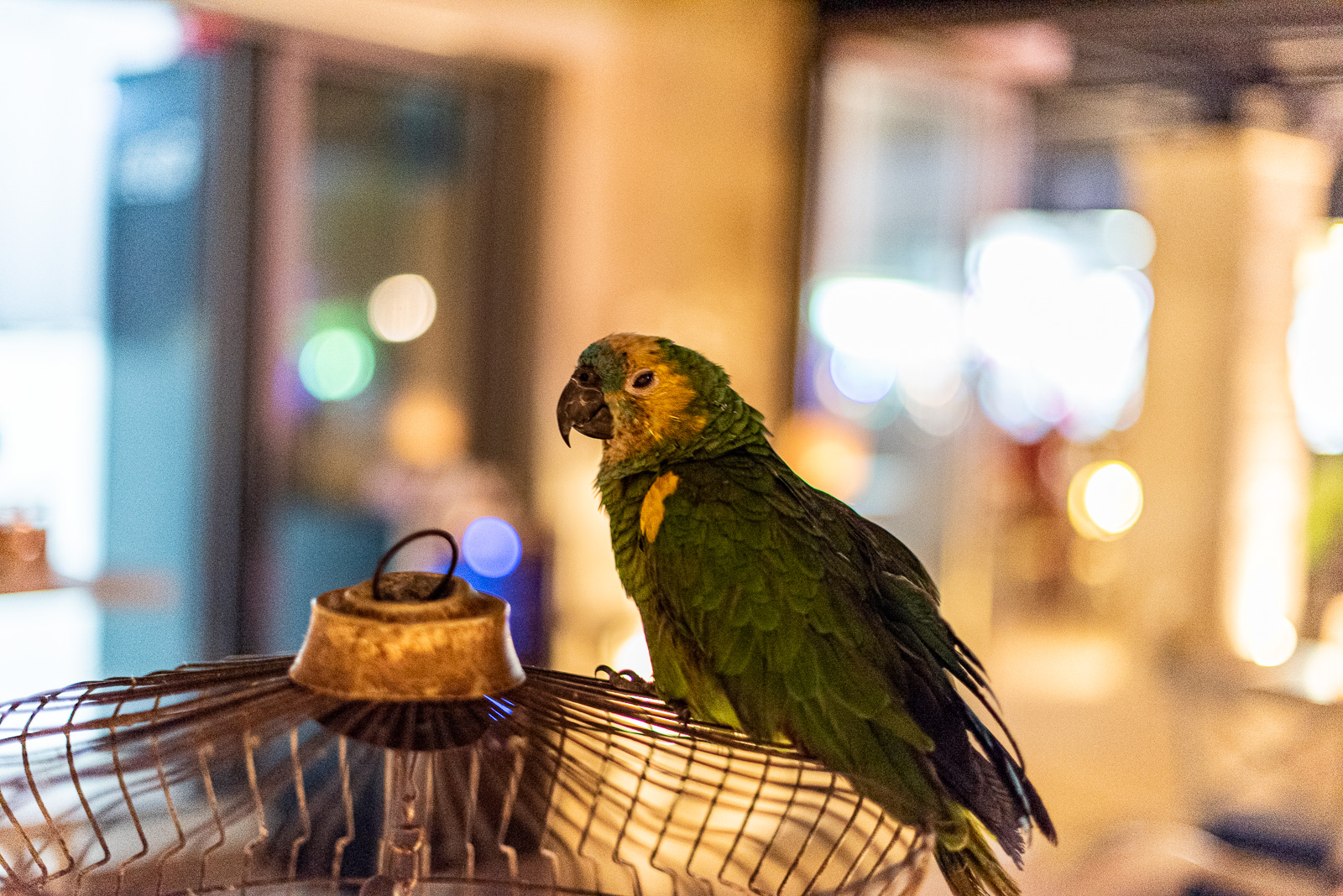 190809 200716 DSC 8075