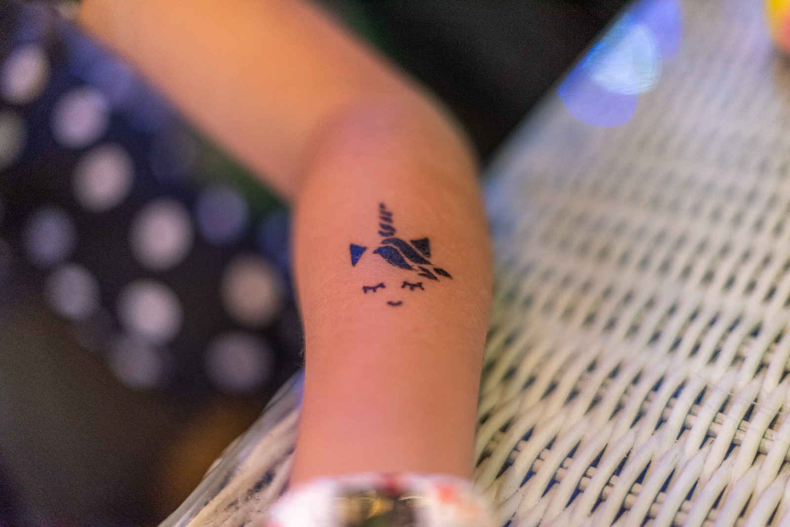 190809 213834 DSC 8106