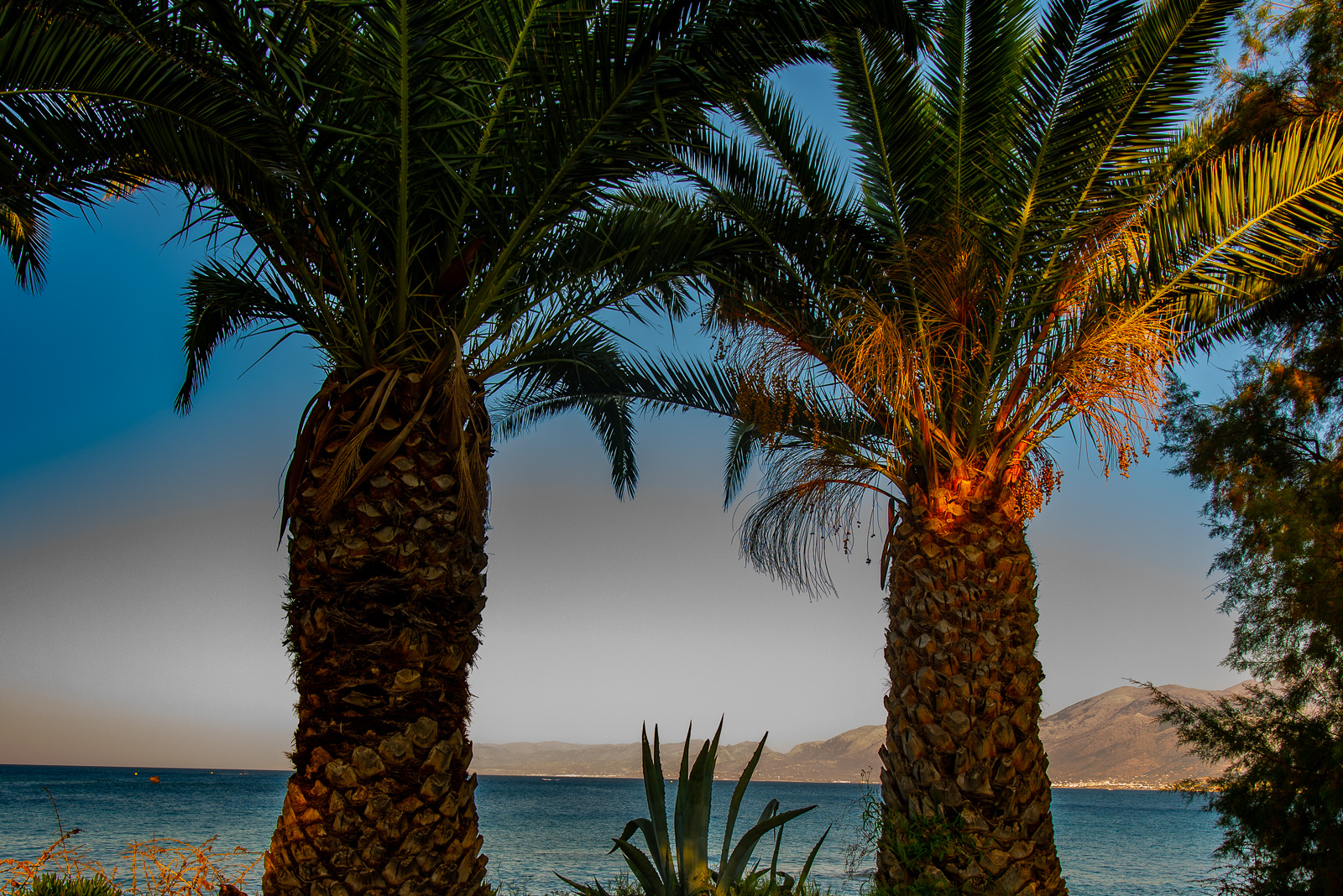 190810 182618 DSC 8195