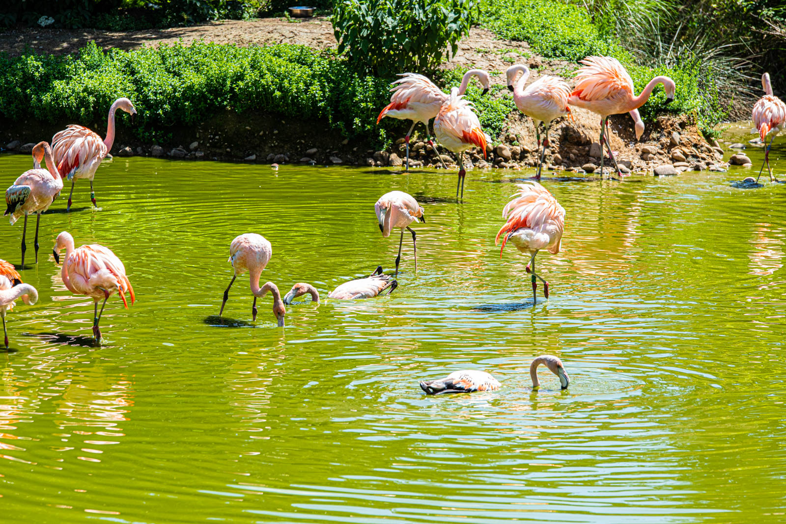 200524 143958 DSC 9070