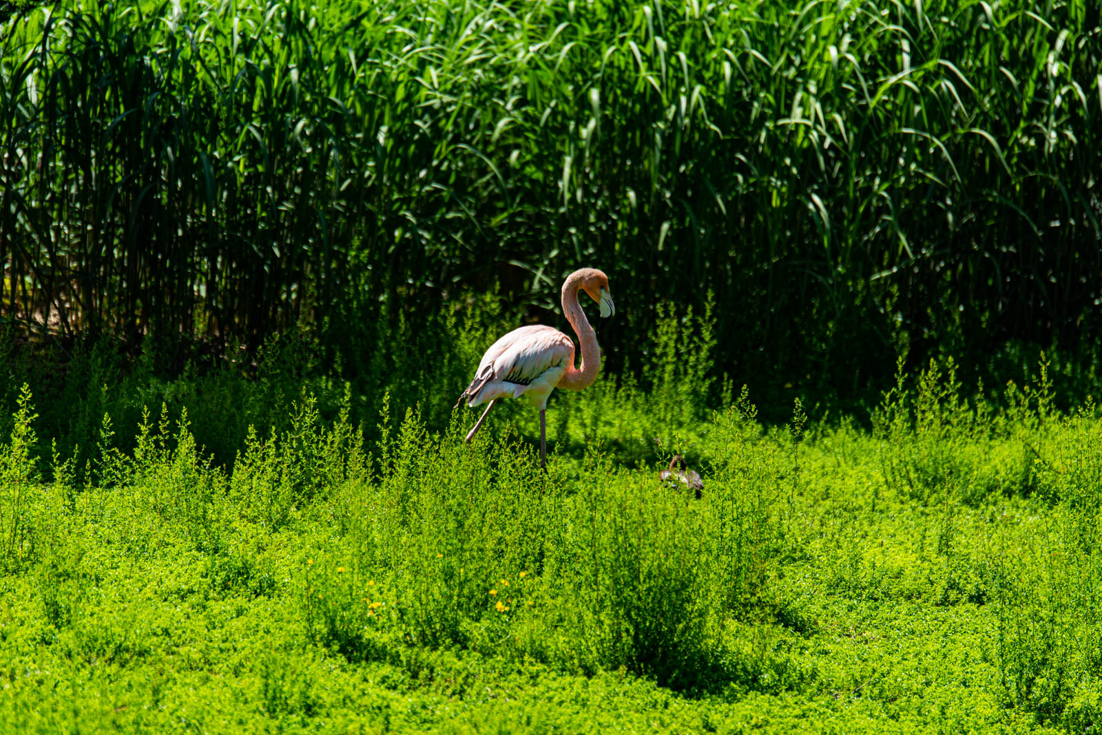 200524 150518 DSC 9117