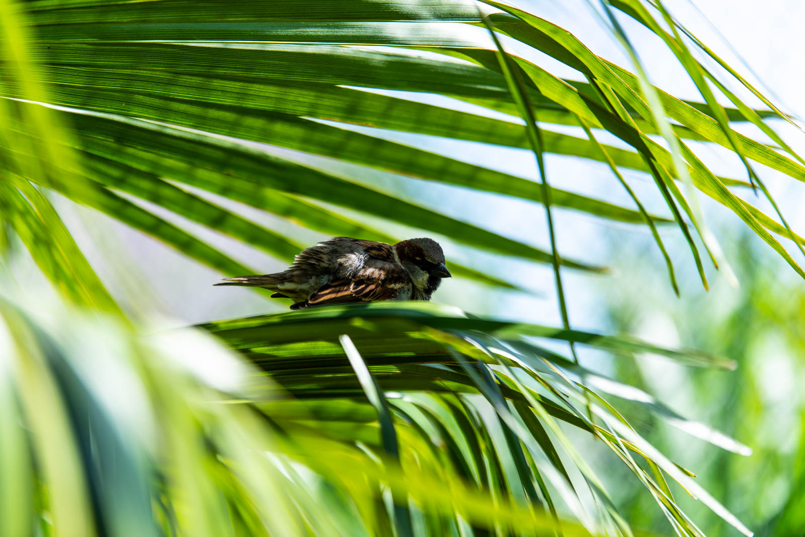 200524 151956 DSC 9147