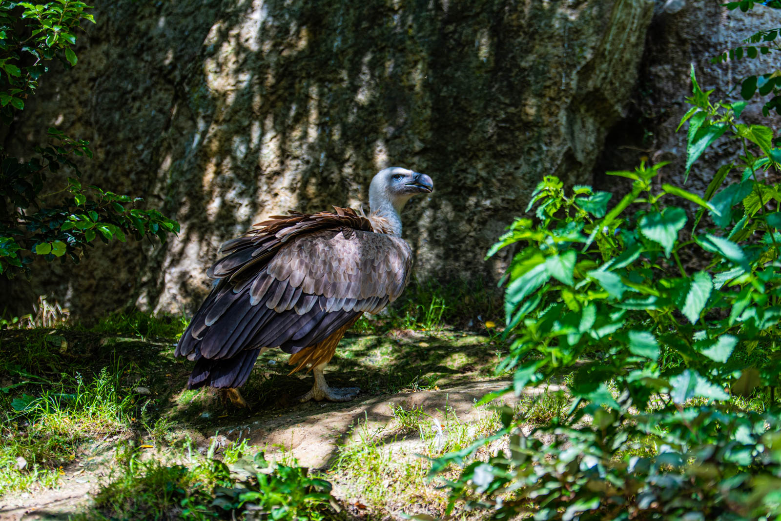 200524 155336 DSC 9193