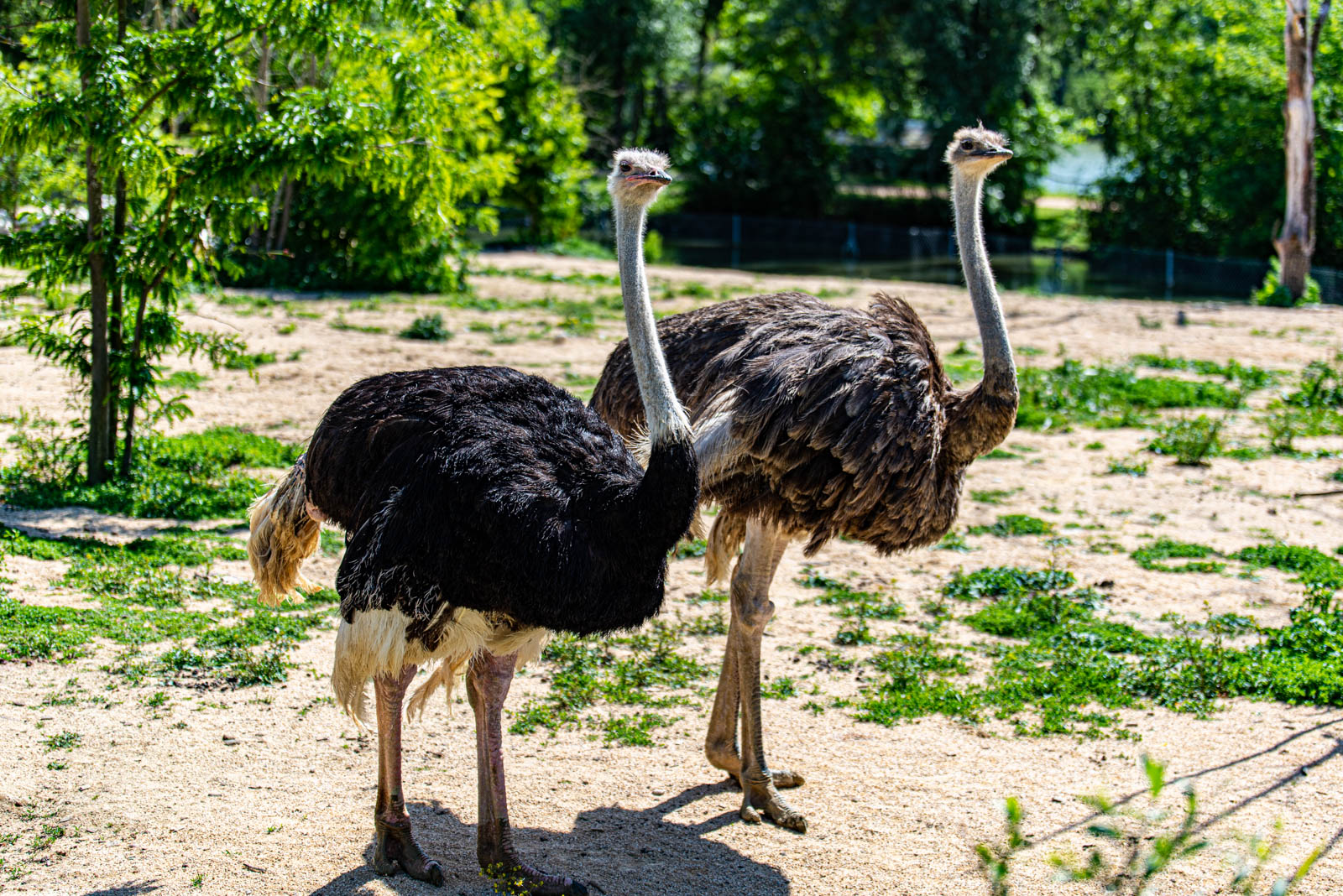 200524 161652 DSC 9223