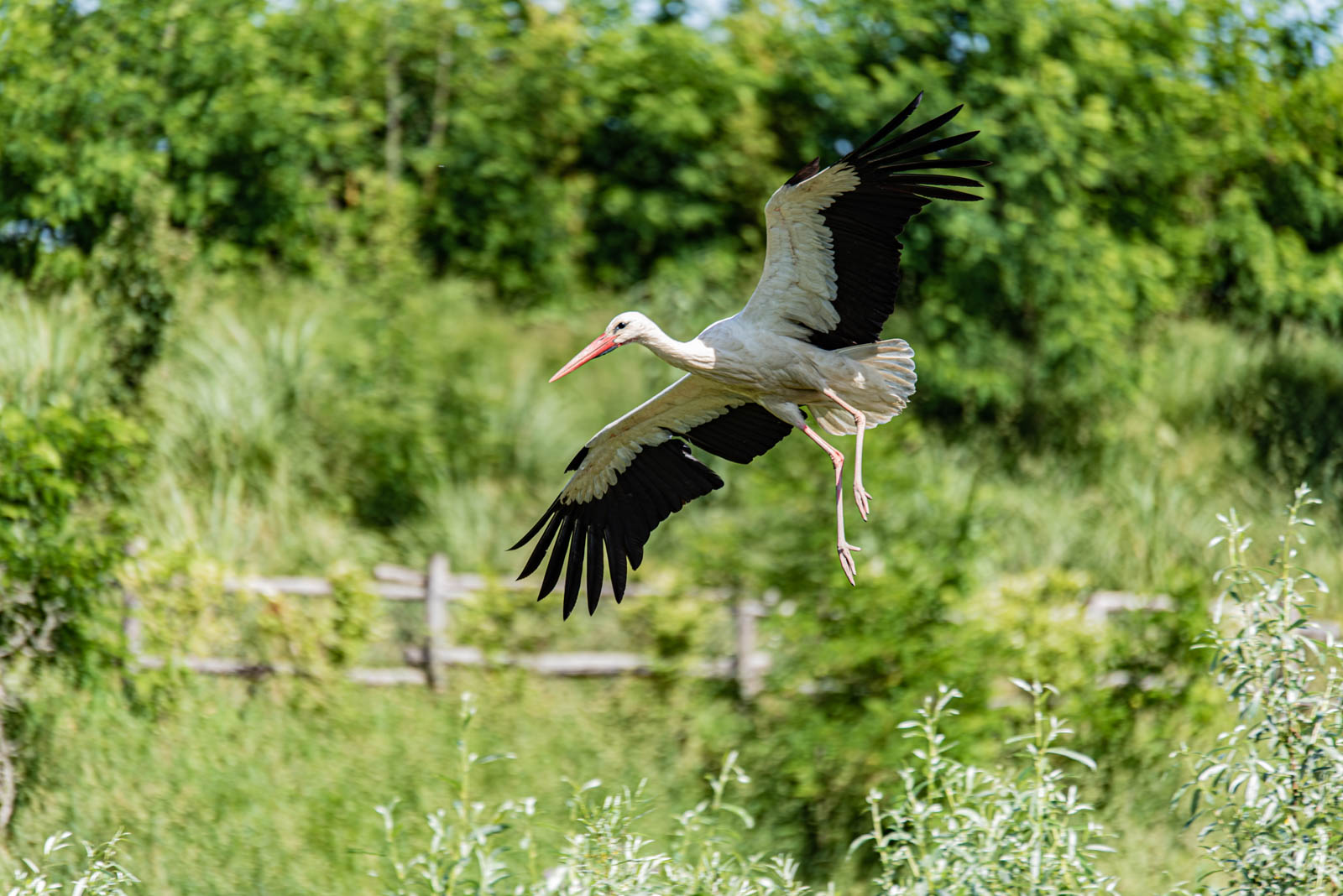 200524 161829 DSC 9229