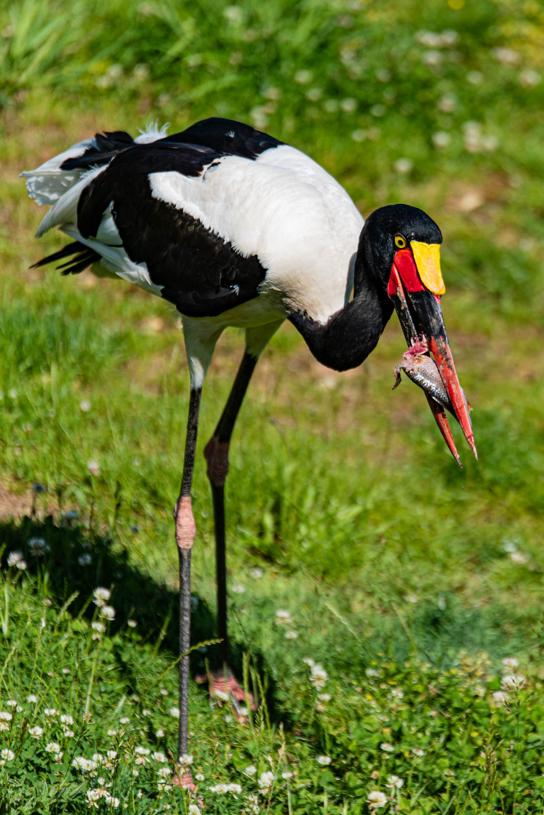 200524 161915 DSC 9246