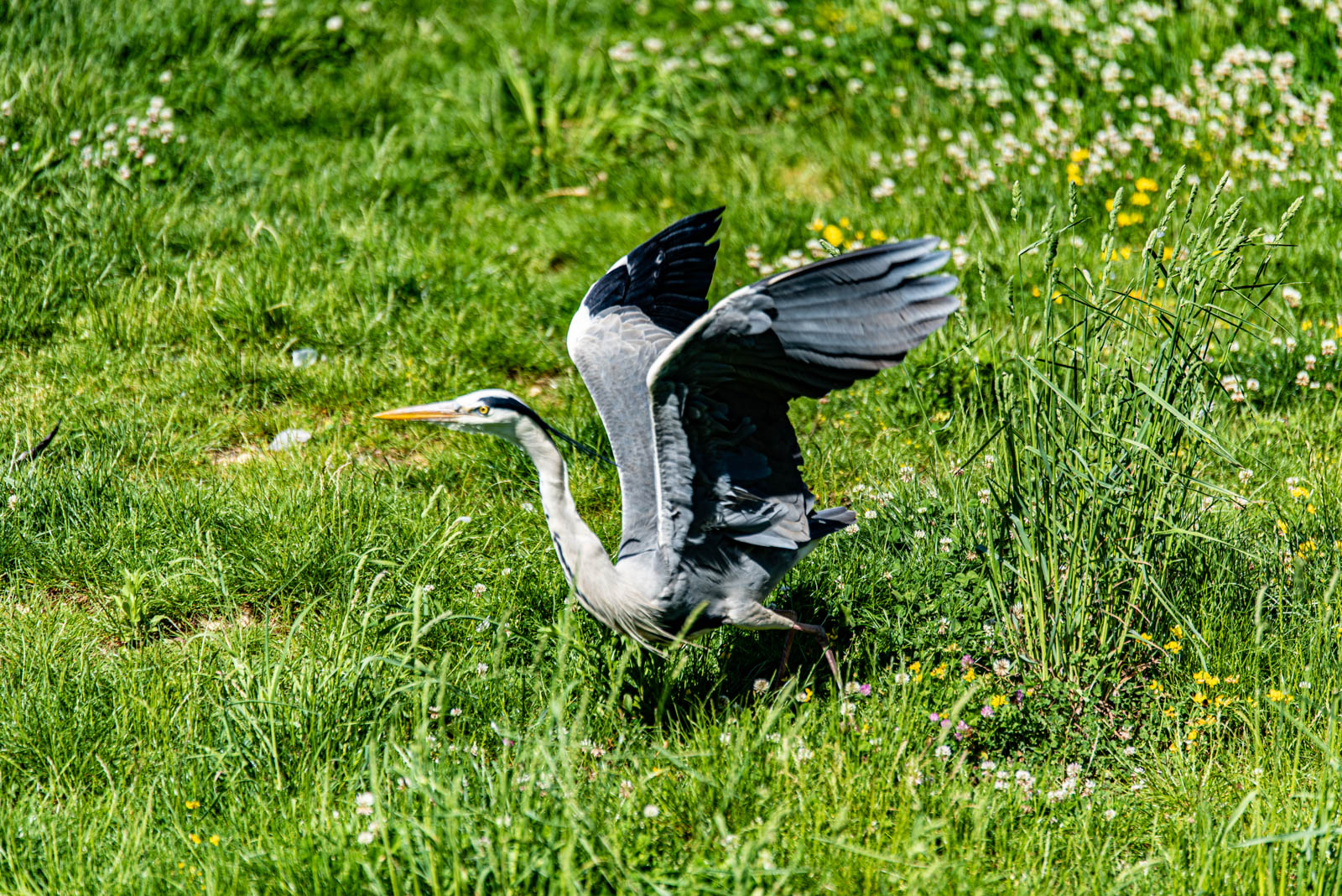 200524 162120 DSC 9270