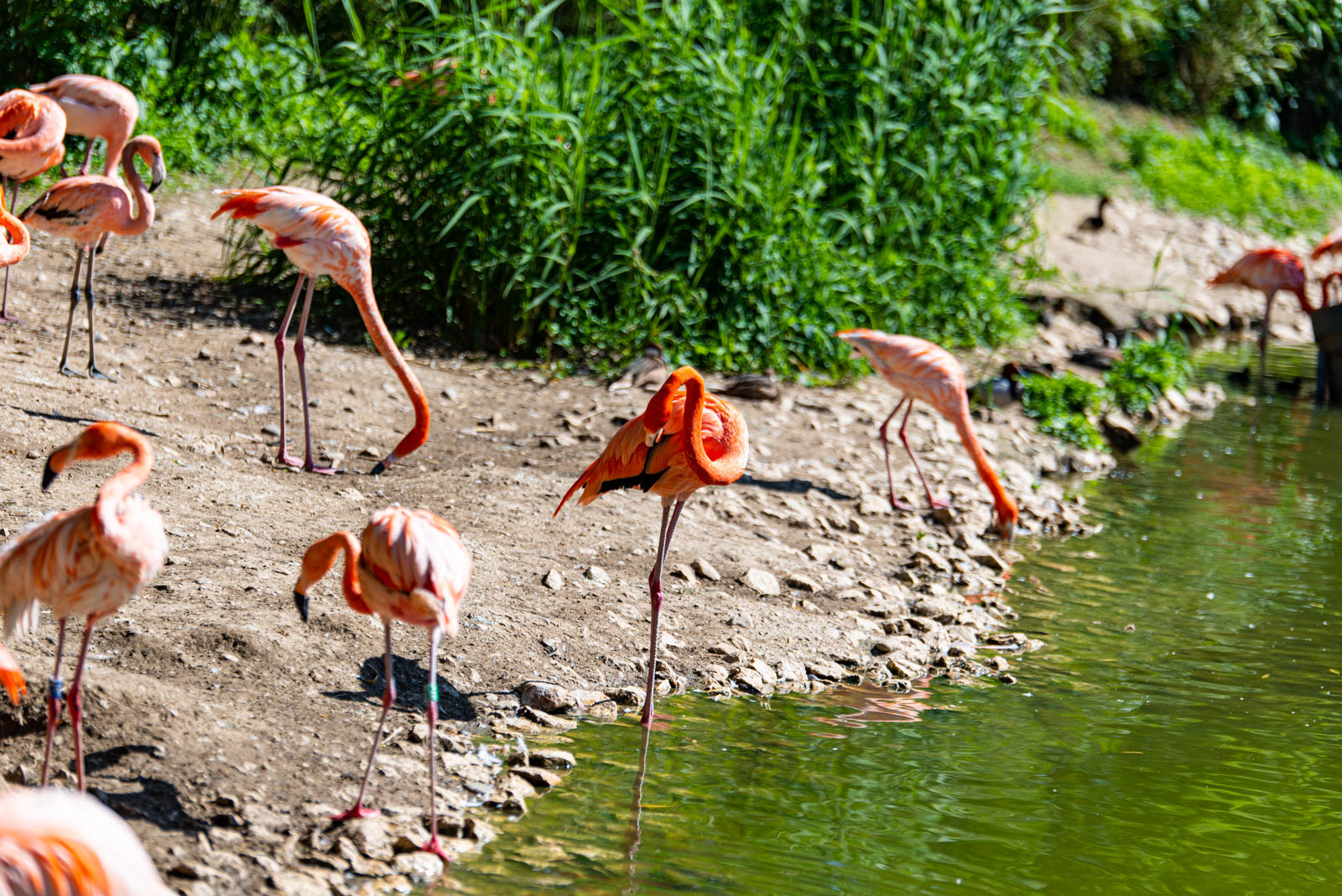 200524 165833 DSC 9347