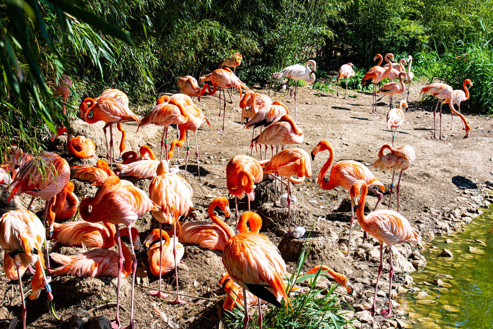 200524 165844 DSC 9351